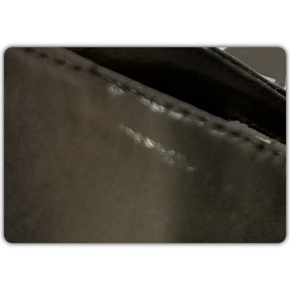 Coach and Four Pumps - Picture 5 of 5